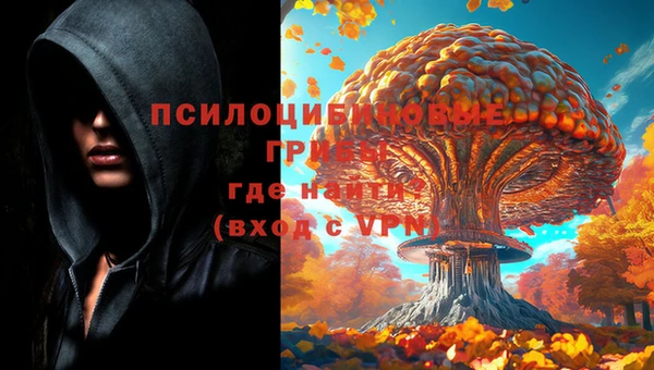 apvp Каменногорск
