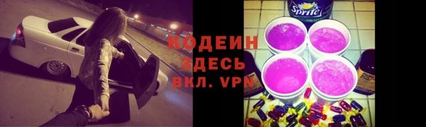 apvp Каменногорск