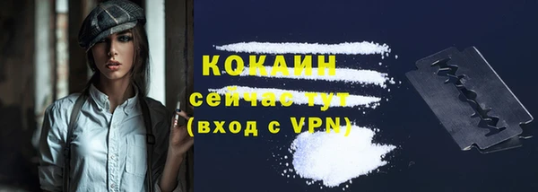 apvp Каменногорск