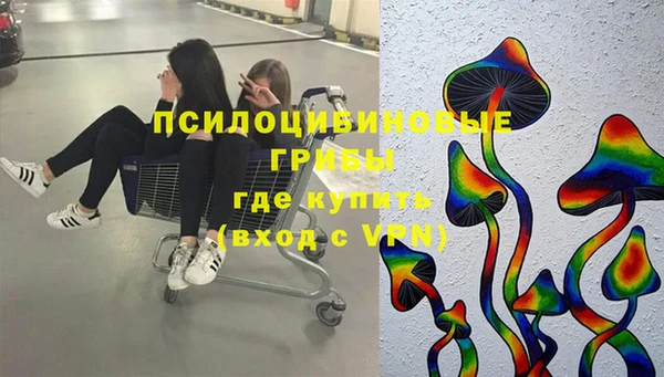 гашиш Каменка